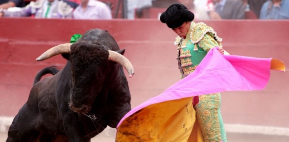 Entradas Toros madrid